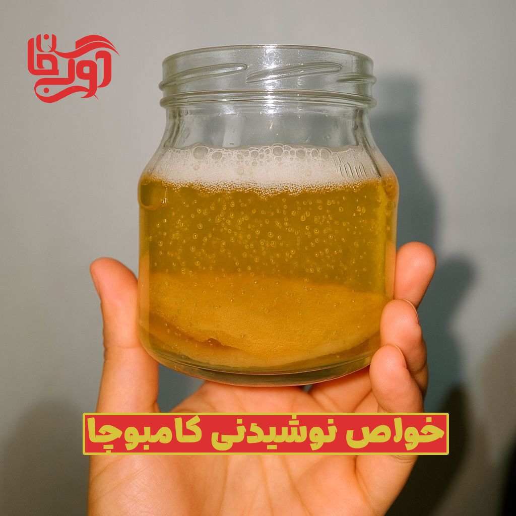 خواص معجزه آسای نوشیدنی کامبوچا